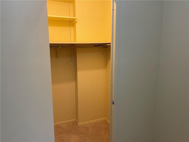 walk in closet featuring light carpet