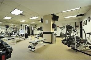 gym featuring light carpet and a paneled ceiling