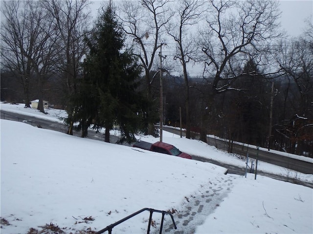 view of yard covered in snow