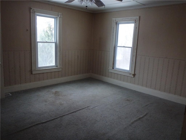 carpeted empty room featuring ceiling fan and a healthy amount of sunlight