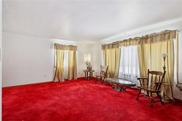 living area featuring carpet flooring