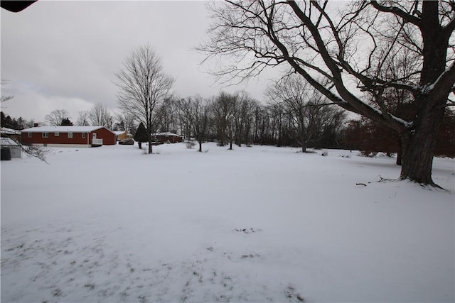 view of snowy yard