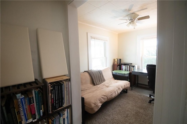 living area featuring ceiling fan, carpet, a healthy amount of sunlight, and ornamental molding