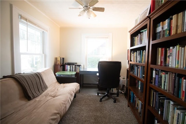 office area with ceiling fan, carpet, and plenty of natural light