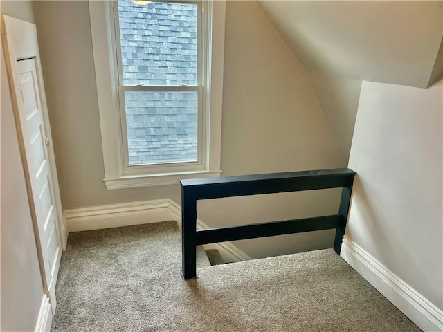 bonus room featuring vaulted ceiling and carpet