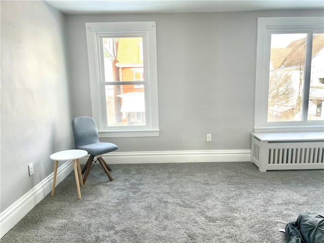 living area with carpet floors and radiator