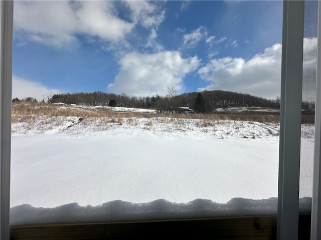 view of yard layered in snow