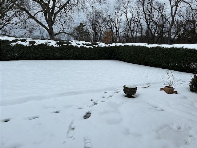 view of yard layered in snow