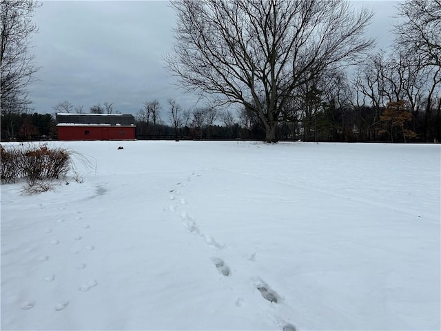 view of yard covered in snow