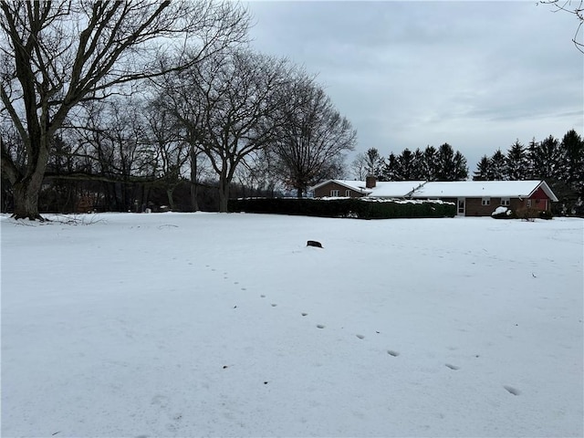 view of snowy yard