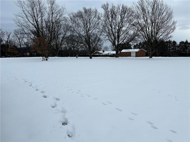 view of snowy yard