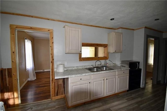 kitchen with sink, a textured ceiling, dark hardwood / wood-style floors, and ornamental molding