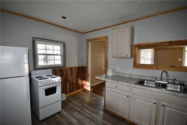 kitchen with wooden walls, dark hardwood / wood-style floors, white appliances, ornamental molding, and sink