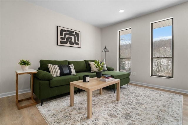 living room featuring light hardwood / wood-style flooring