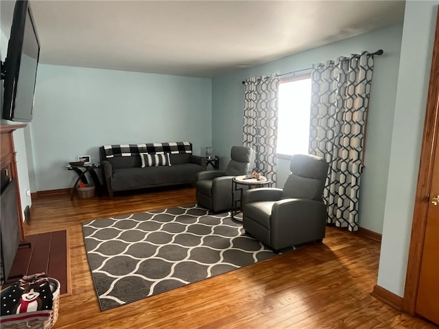 living room with hardwood / wood-style flooring