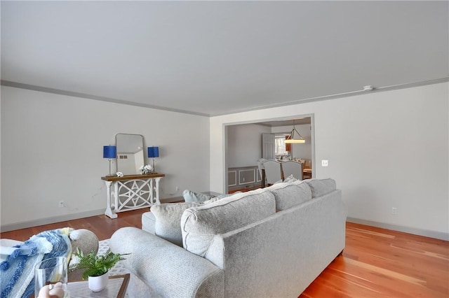 living room with wood-type flooring