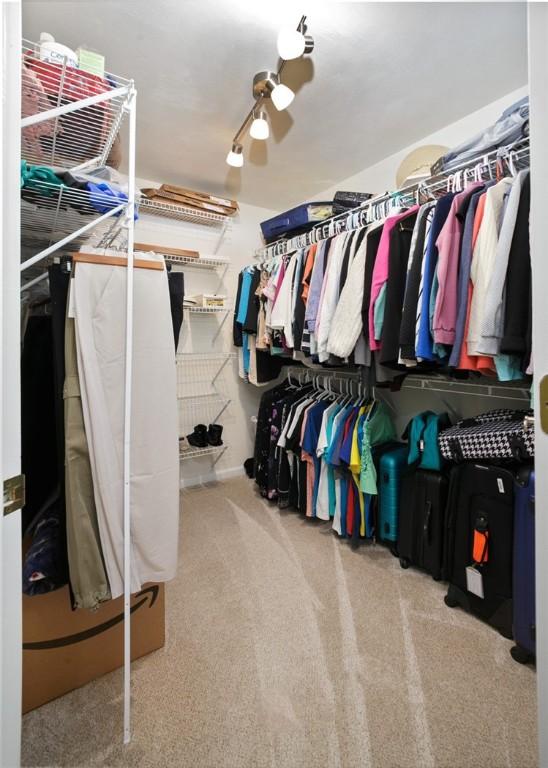 spacious closet with carpet and ceiling fan