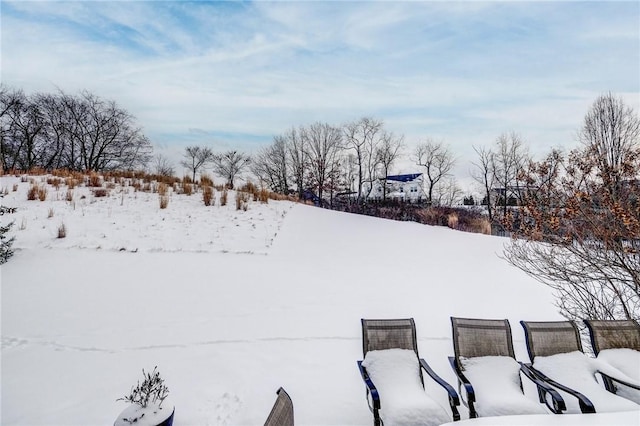 view of yard covered in snow