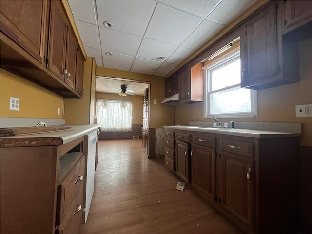 kitchen with a paneled ceiling, light hardwood / wood-style flooring, dishwasher, and a healthy amount of sunlight