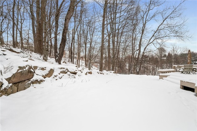 view of yard layered in snow