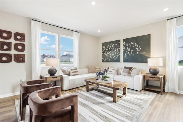 living room with light wood-type flooring