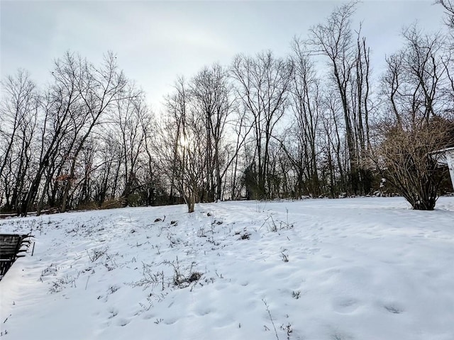 view of yard layered in snow