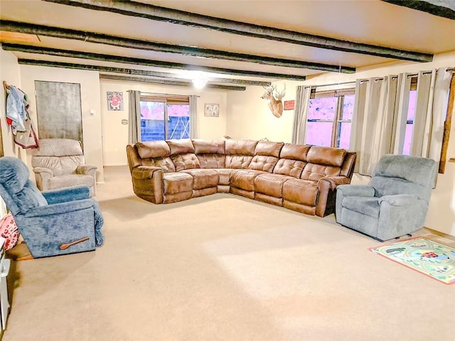 living room featuring beam ceiling and carpet floors