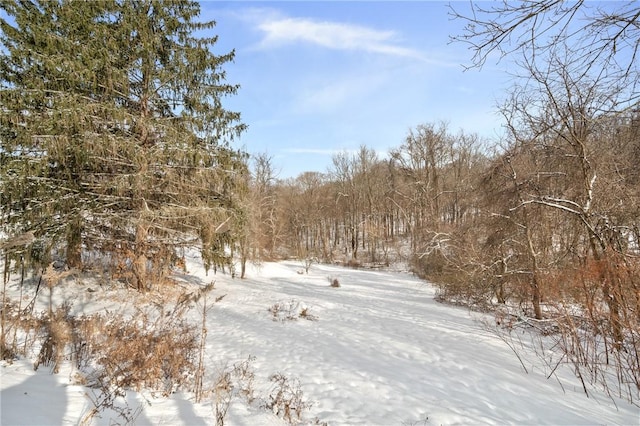 view of snow covered land