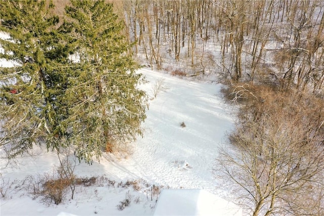 view of snowy aerial view