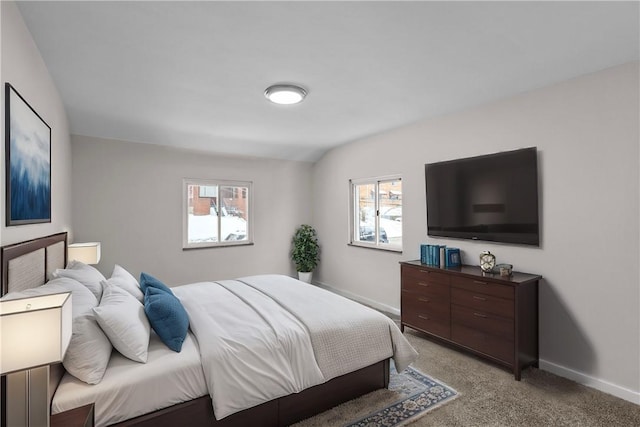 bedroom featuring carpet floors and multiple windows