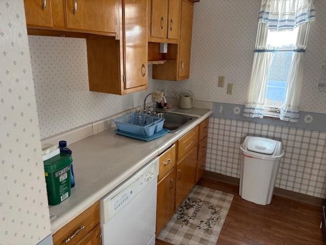 kitchen featuring dishwasher, sink, and hardwood / wood-style flooring