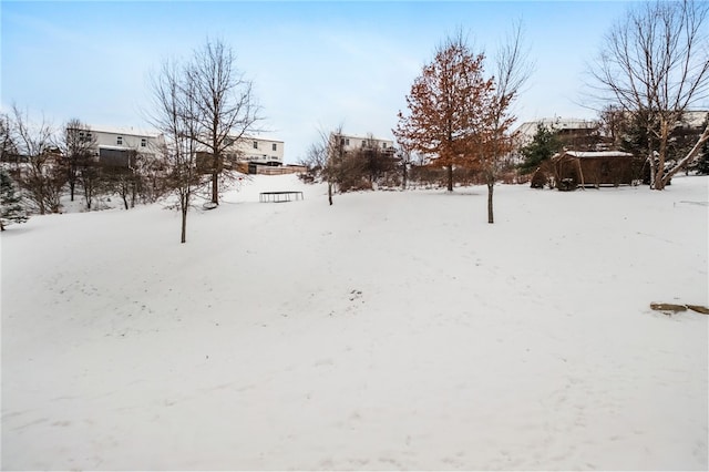 view of yard covered in snow