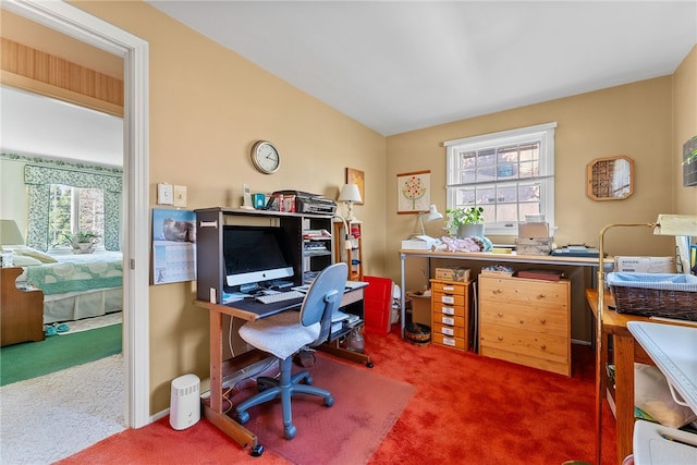 office space featuring carpet