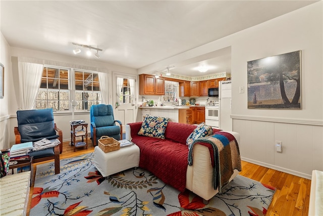 living room featuring light hardwood / wood-style floors