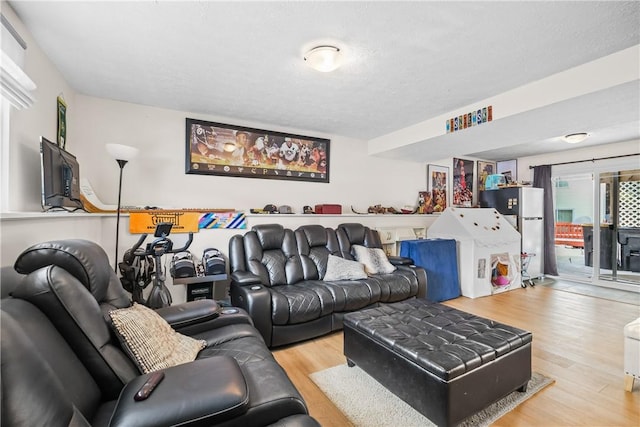 living room featuring light hardwood / wood-style flooring