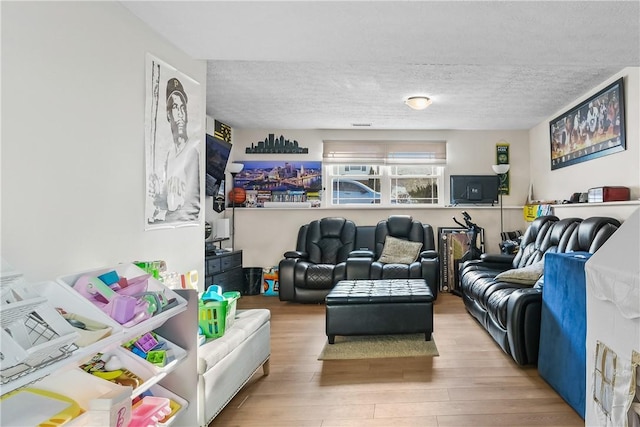 living room with a textured ceiling and hardwood / wood-style floors