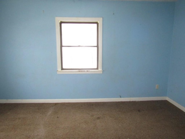 unfurnished room featuring carpet