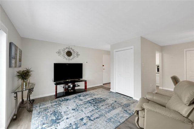 living room with hardwood / wood-style floors