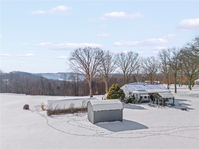 view of snowy yard