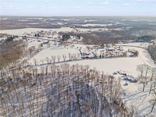 view of snowy aerial view