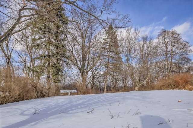 view of yard covered in snow