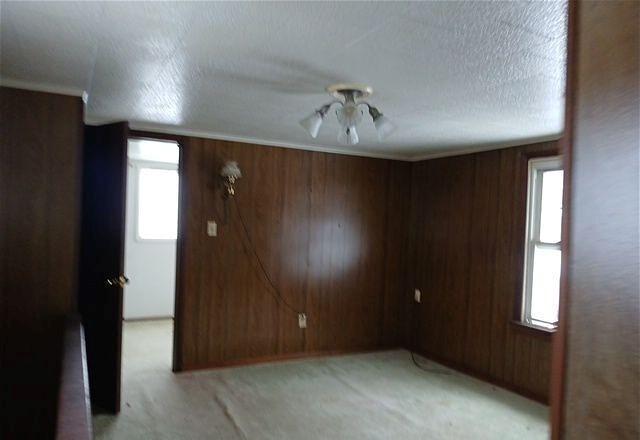 unfurnished room with light colored carpet, a wealth of natural light, wooden walls, and a textured ceiling