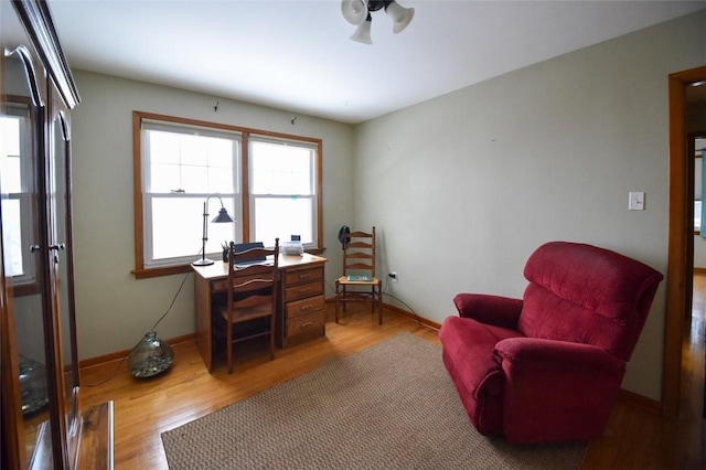 office area featuring light hardwood / wood-style floors