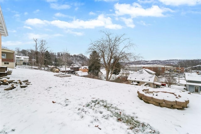 view of yard covered in snow