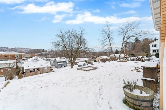 view of yard covered in snow