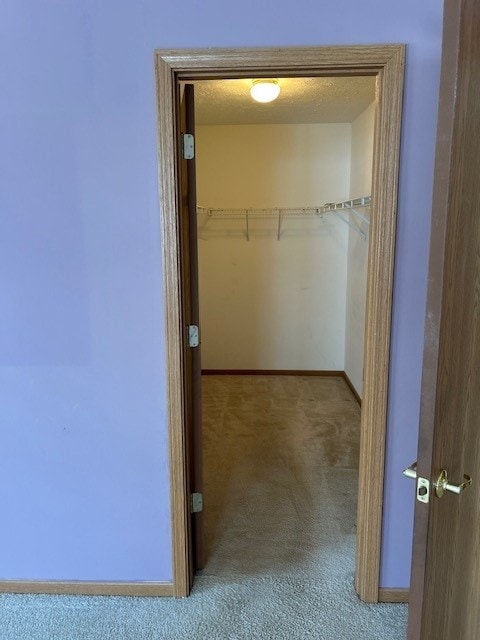 walk in closet with light colored carpet