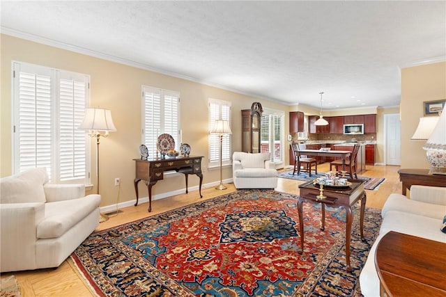 living room with ornamental molding