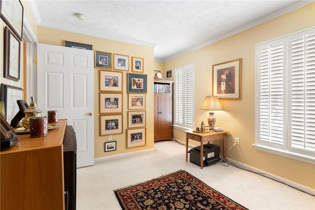 interior space featuring a textured ceiling, light colored carpet, and ornamental molding