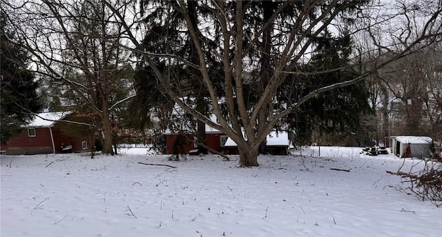 view of yard layered in snow