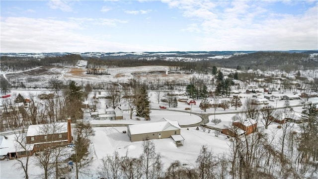 view of snowy aerial view